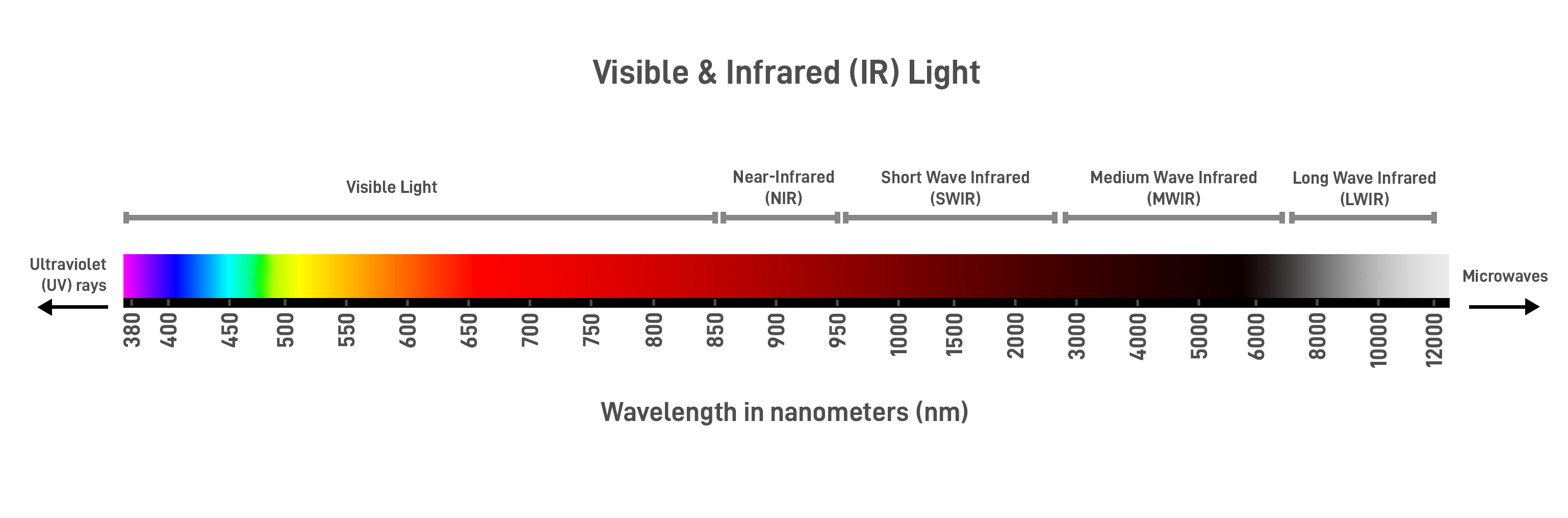 Visible Light Spectrum + IR