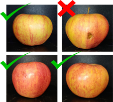 Sorting apples using deep learning.