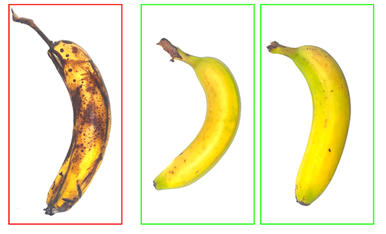 image-png-Jul-26-2021-09-26-30-26-AM